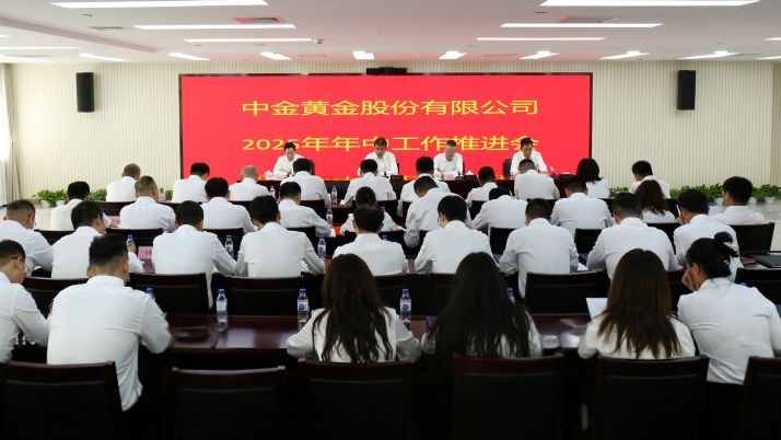 3377ÌåÓý¹ÙÍøÕÙ¿ª2025ÄêÄêÖй¤×÷ÍÆ¶¯»á